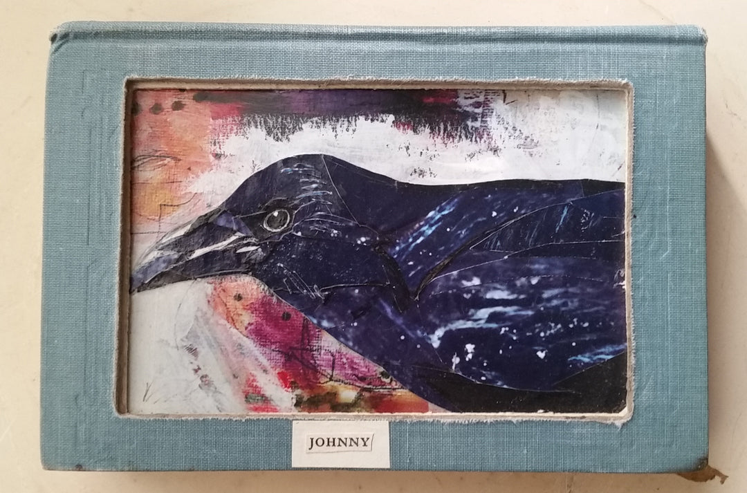 Johnny | Book Raven
