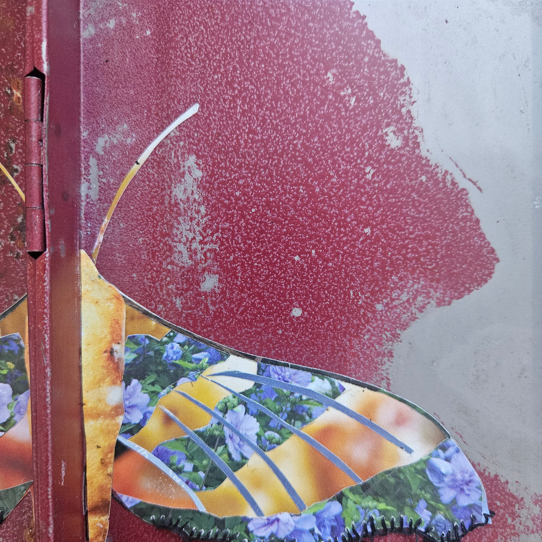 Esther in a Toolbox | Original FIne Art Collage