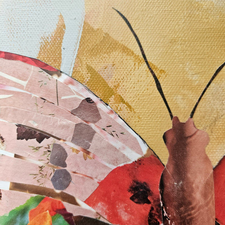 Blush | Unframed Original 24 x 24 on Canvas