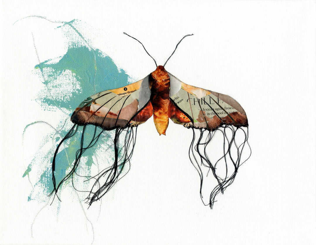 Millicent – Butterfly Moth Collection | Fine Art Giclée Print | Recycled Magazine Collage Wall Art