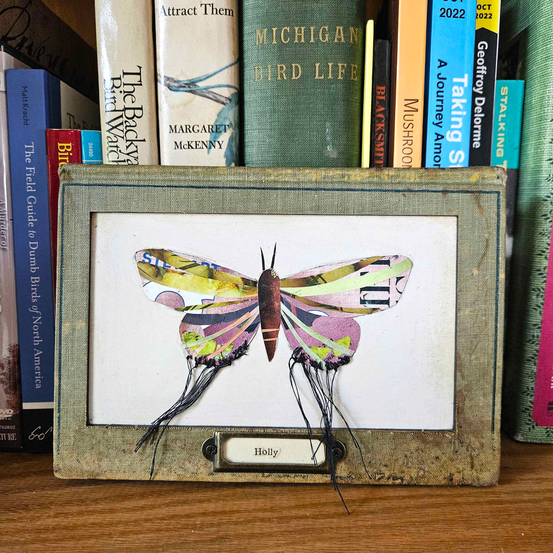 Holly is a one-of-a-kind handmade butterfly moth collage in a vintage book frame. Eco-friendly wall art made from recycled magazines. A unique gift for nature lovers.