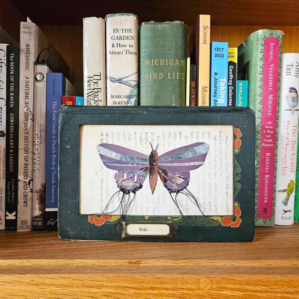 Iris is a handmade butterfly moth collage set in a vintage book frame. Eco-friendly wall art made from recycled magazines. A unique gift for nature lovers.