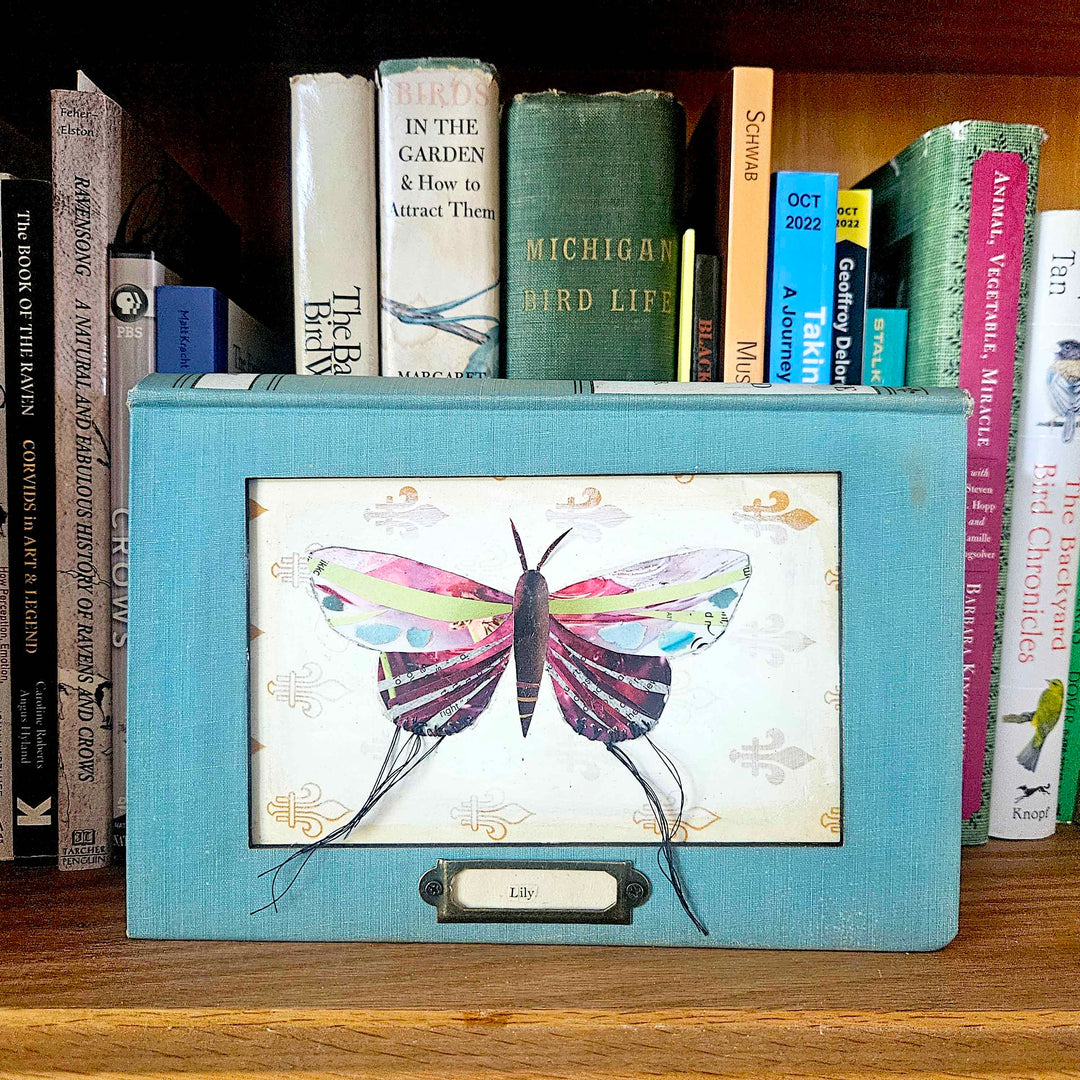 Lily is a handmade butterfly moth collage in a vintage book frame. Eco-friendly wall art made from recycled magazines. A unique gift for nature lovers.