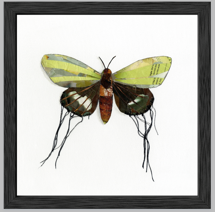 Luna – Butterfly Moth Collection | Fine Art Giclée Print | Recycled Magazine Collage Wall Art