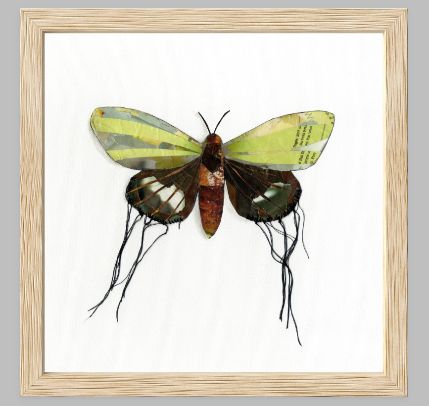 Luna is a butterfly / moth collage created with recycled magazine bits embellished with delicate hand stitching. Museum-quality wall art.