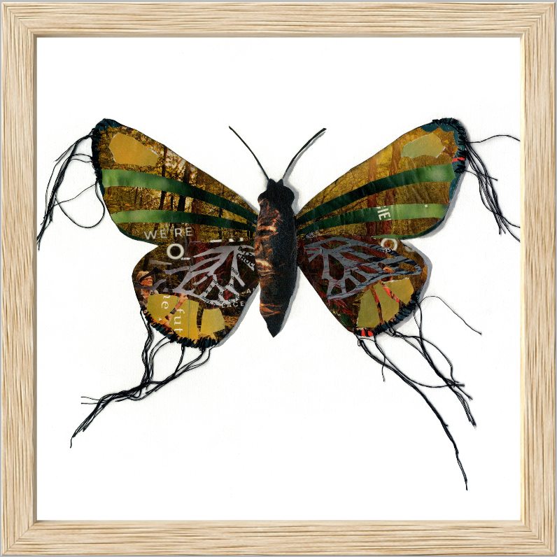 Framed it light wood frame, Margaret is a butterfly / moth collage created with recycled magazine bits embellished with delicate hand stitching. Museum-quality wall art.