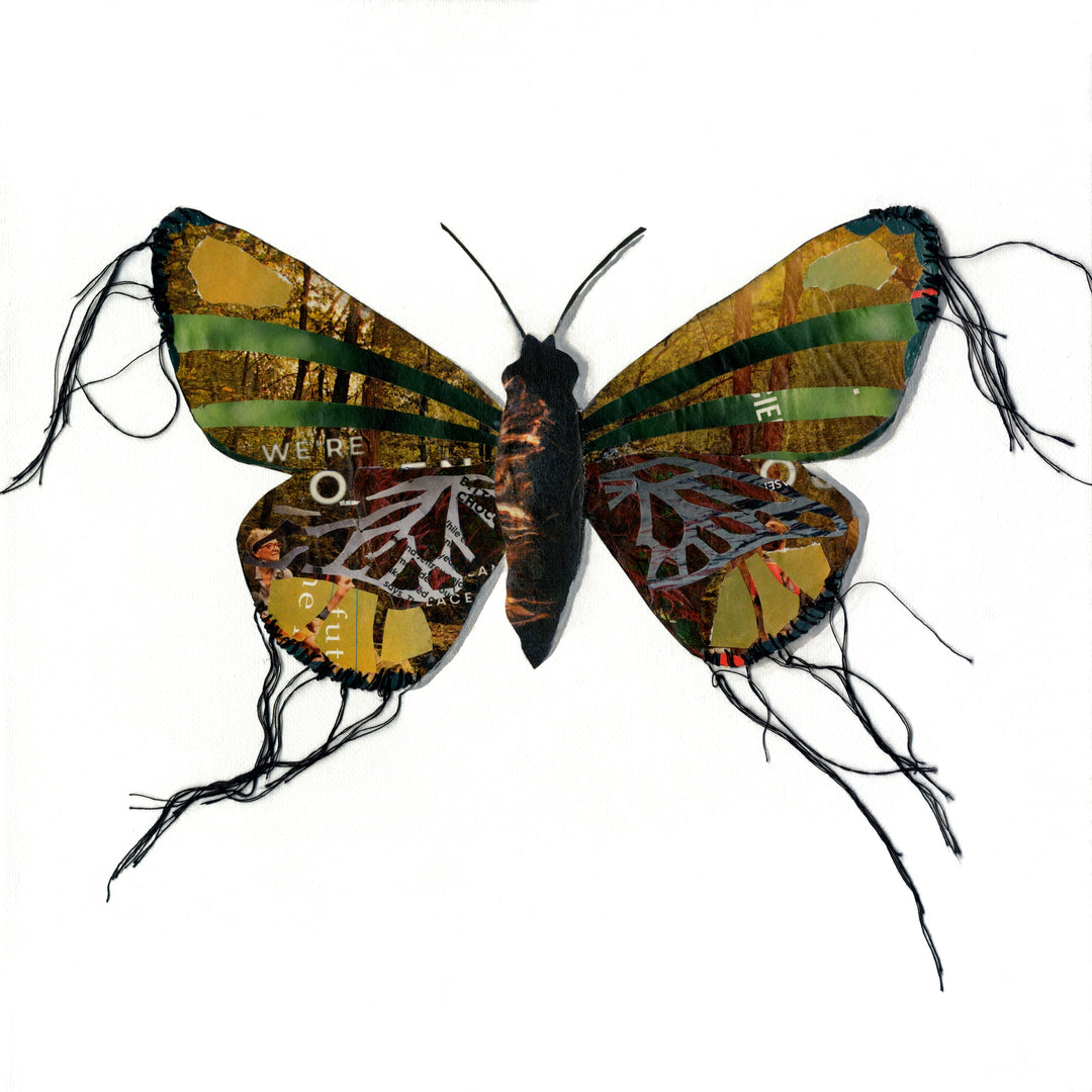 A close up of Margaret, a butterfly / moth collage created with recycled magazine bits embellished with delicate hand stitching. Museum-quality wall art.