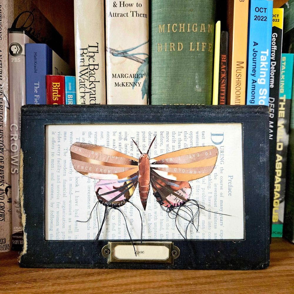Handmade butterfly moth collage set into a vintage book as frame. Eco-friendly wall art made from recycled magazines and vintage books. A unique gift for book and nature lovers.
