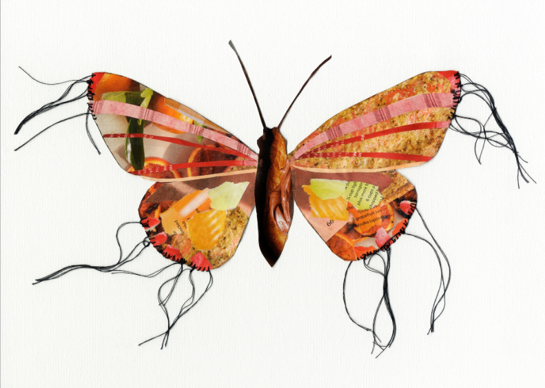 Samantha – Butterfly Moth Collection | Fine Art Giclée Print | Recycled Magazine Collage Wall Art