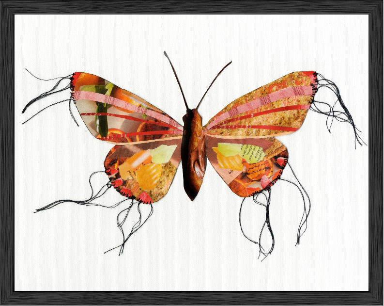 Samantha – Butterfly Moth Collection | Fine Art Giclée Print | Recycled Magazine Collage Wall Art