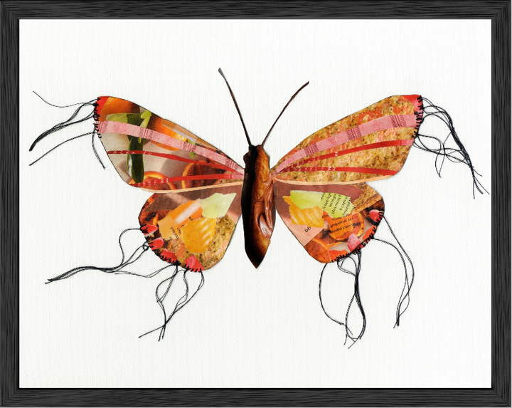 Samantha – Butterfly Moth Collection | Fine Art Giclée Print | Recycled Magazine Collage Wall Art