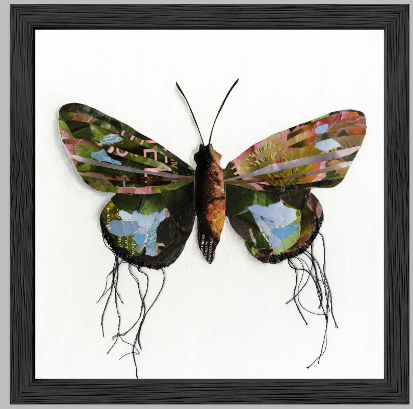 Sprite is a butterfly / moth collage created with recycled magazine bits embellished with delicate hand stitching. Museum-quality wall art. Framed here in a black wood frame.