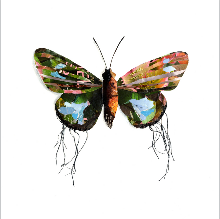Sprite is a butterfly / moth collage created with recycled magazine bits embellished with delicate hand stitching. Museum-quality wall art.